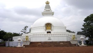 Prostitutes Rajgir