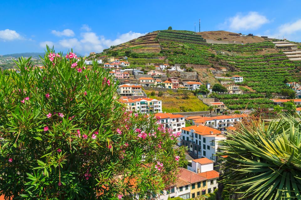 Girls in Camara de Lobos Portugal Prostitutes Prostitutes Camara de Lobos