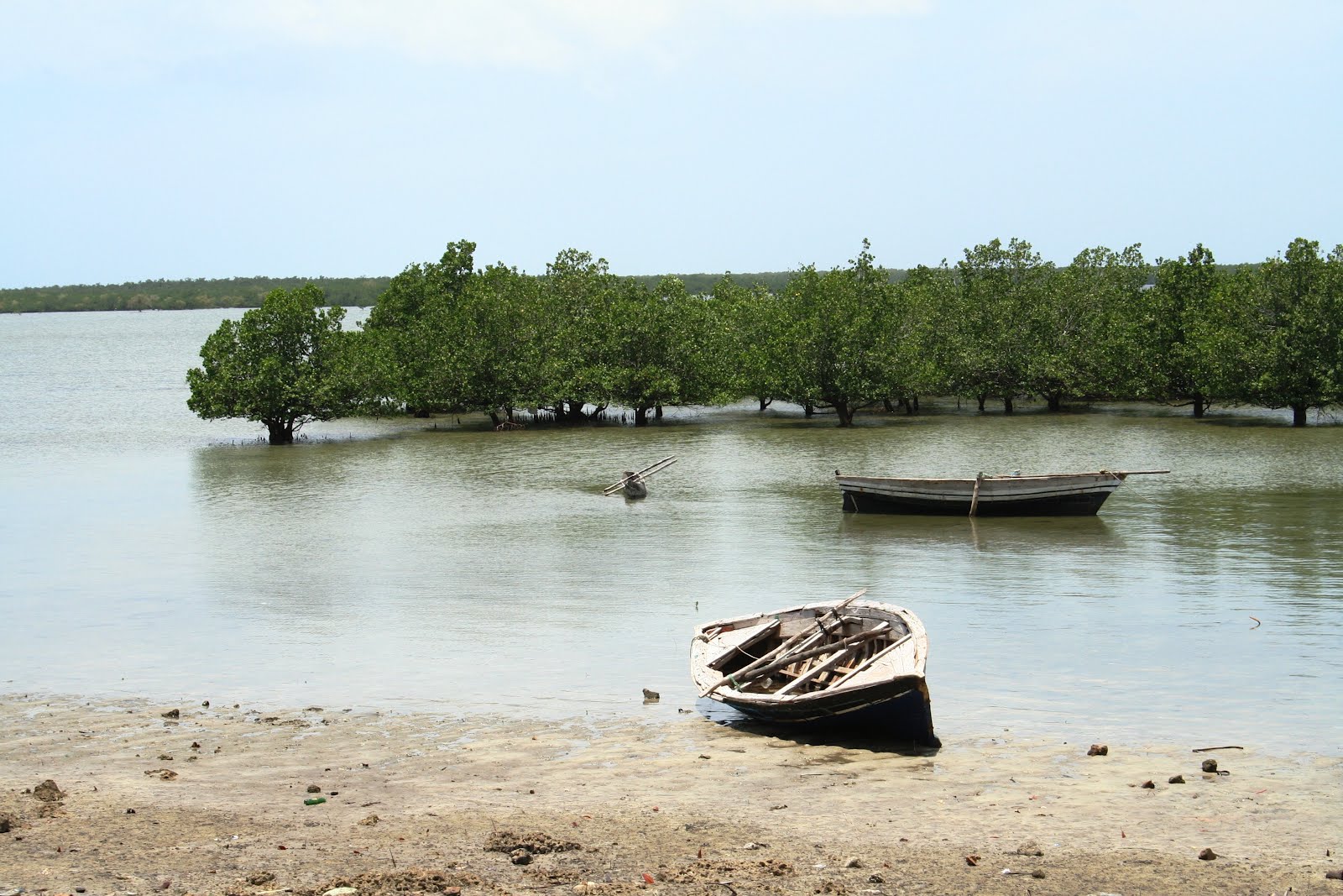 Escort  Ilha de Mocambique
